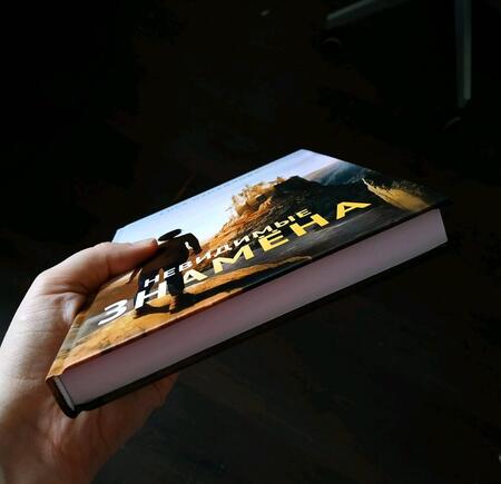 Фотография книги "Измайлова: Невидимые знамена"