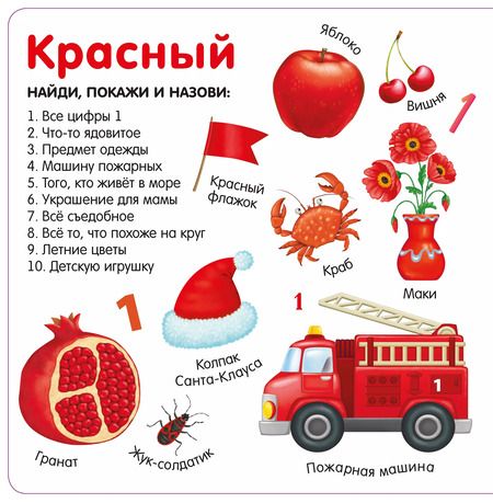 Фотография книги "Изучаем цвета, слова, цифры"