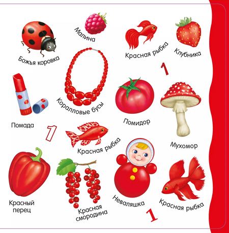 Фотография книги "Изучаем цвета, слова, цифры"