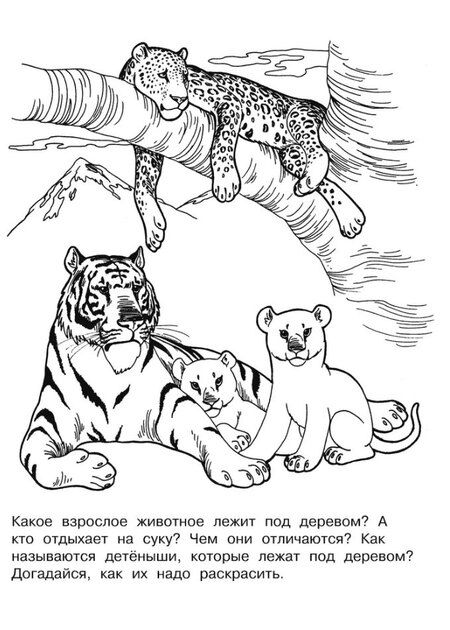 Фотография книги "Изучаем животных. Раскраска серии "Скоро в школу""