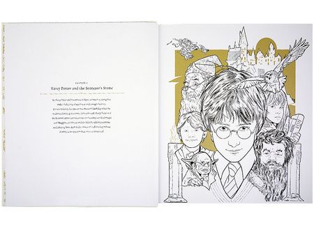 Фотография книги "J. Dragunas: Harry Potter. A Cinematic Gallery"