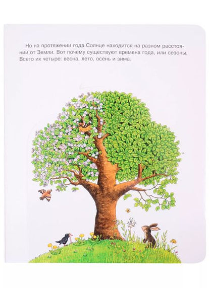Фотография книги "К. Дроп: Что? Почему? Зачем? Малышу. Времена года (с волшебными окошками)"