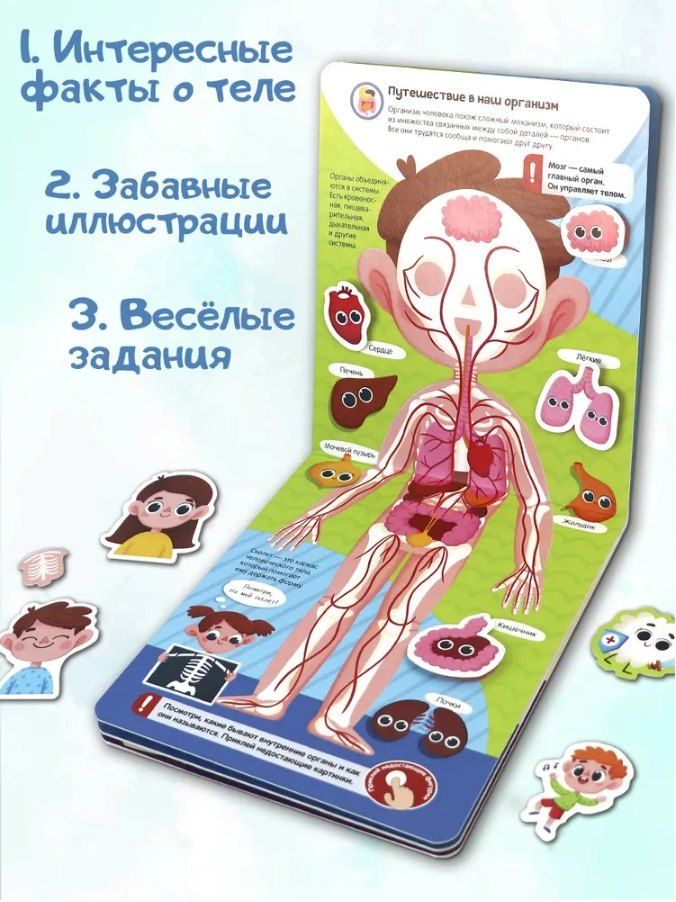 Обложка книги "К. Кипенко: Липучки. Моё тело"