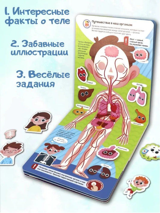 Обложка книги "К. Кипенко: Липучки. Моё тело"