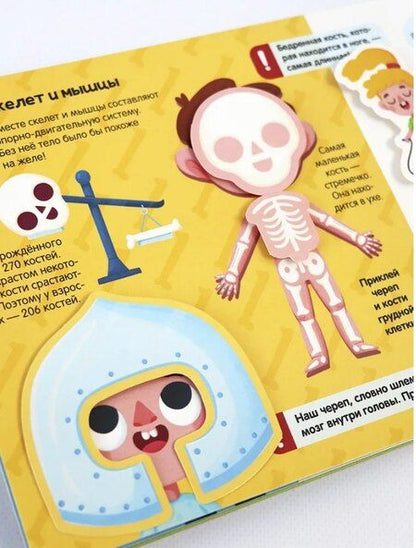 Фотография книги "К. Кипенко: Липучки. Моё тело"