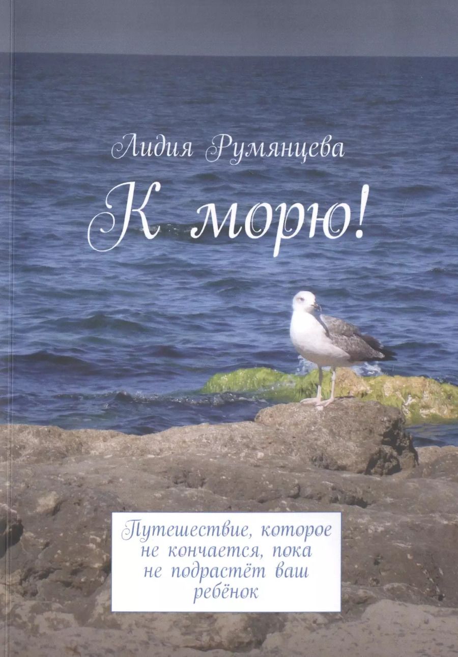 Обложка книги "К морю! Путешествие, которое не кончается, пока не подрастет ваш ребенок"