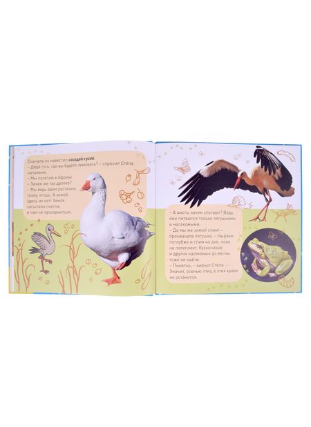 Фотография книги "К нам опять пришла зима! Снежинкин секрет. Кто как зимует? Секрет Крошки Мороза (комплект из трёх книг)"