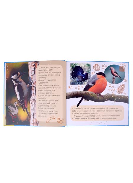 Фотография книги "К нам опять пришла зима! Снежинкин секрет. Кто как зимует? Секрет Крошки Мороза (комплект из трёх книг)"