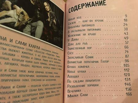 Фотография книги "Каарла, Каарла: Ти-бот и похититель-невидимка"