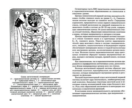 Фотография книги "Кабарухина, Бортникова, Зубахина: Сестринский уход в невропатологии и психиатрии с курсом наркологии"
