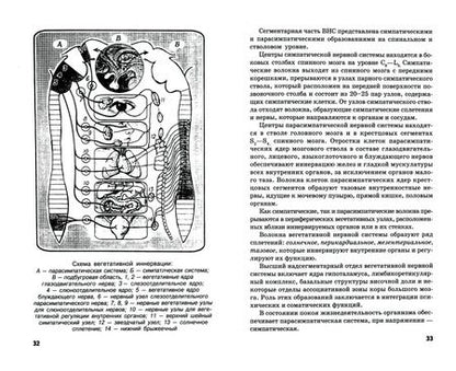 Фотография книги "Кабарухина, Бортникова, Зубахина: Сестринский уход в невропатологии и психиатрии с курсом наркологии"