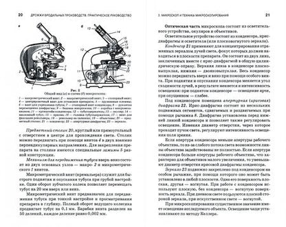 Фотография книги "Качмазов: Дрожжи бродильных производств. Практическое руководство. Учебное пособие"