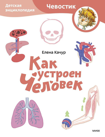 Обложка книги "Качур: Как устроен человек. Детская энциклопедия"