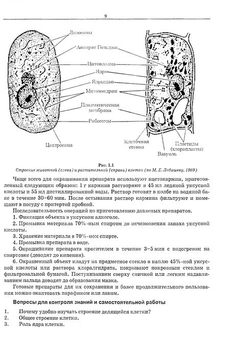 Фотография книги "Кадиев: Генетика. Руководство к практическим занятиям. Учебное пособие для вузов"