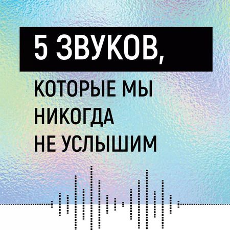 Фотография книги "Кай-Ове Кесслер: Шум. История человечества: Необыкновенное акустическое путешествие сквозь время и пространство"