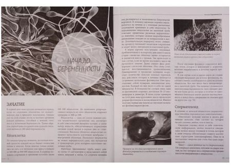 Фотография книги "Кайнер, Нольден: Беременность день за днем. Книга-консультант от зачатия до родов"