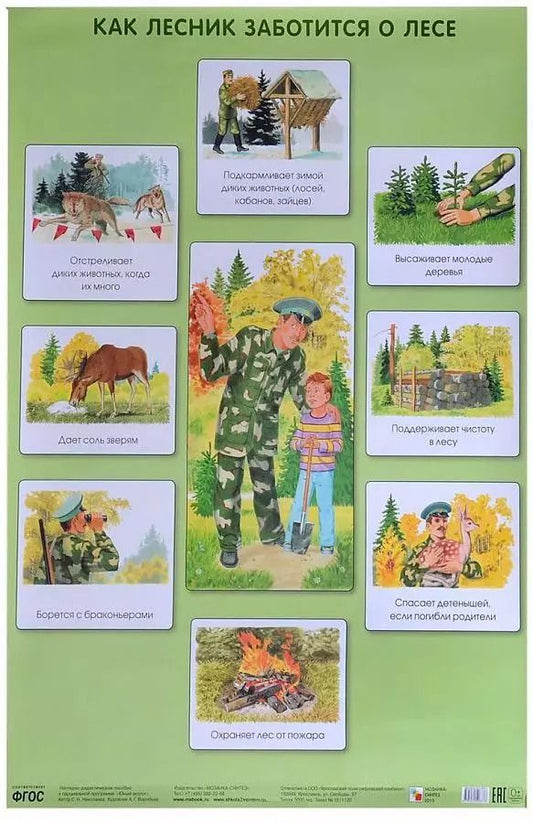 Обложка книги "Как лесник заботится о лесе 50 x 69"
