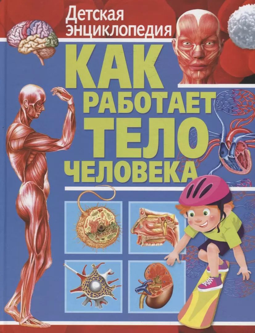 Обложка книги "Как работает тело человека. Детская энциклопедия"