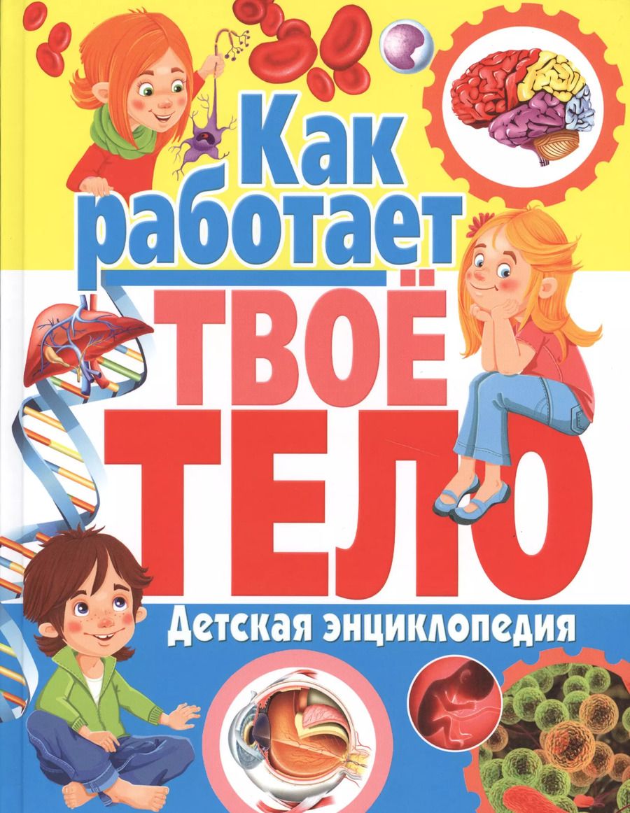Обложка книги "Как работает твое тело. Детская энциклопедия"