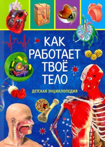 Обложка книги "Как работает твоё тело. Детская энциклопедия"