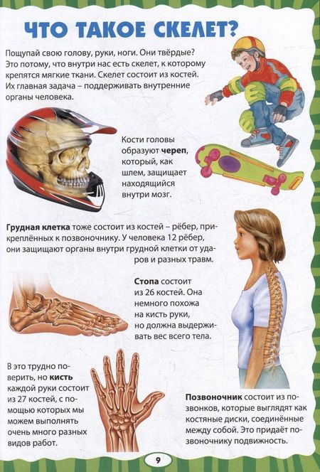 Фотография книги "Как устроен человек. Первая энциклопедия для малышей "