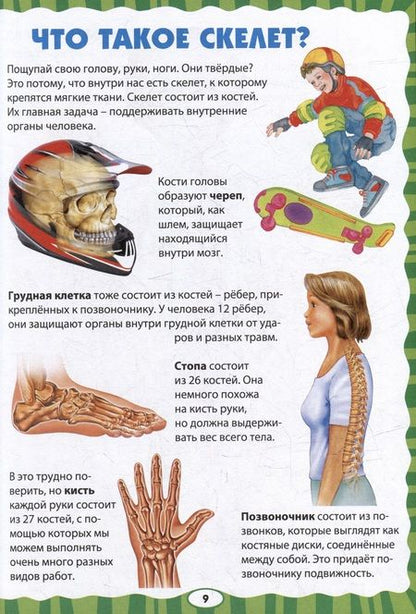 Фотография книги "Как устроен человек. Первая энциклопедия для малышей "