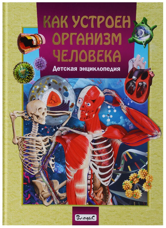 Обложка книги "Как устроен организм человека.Детская энциклопедия"