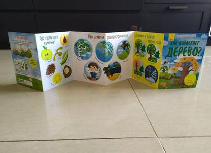 Фотография книги "Как вырастает дерево?"