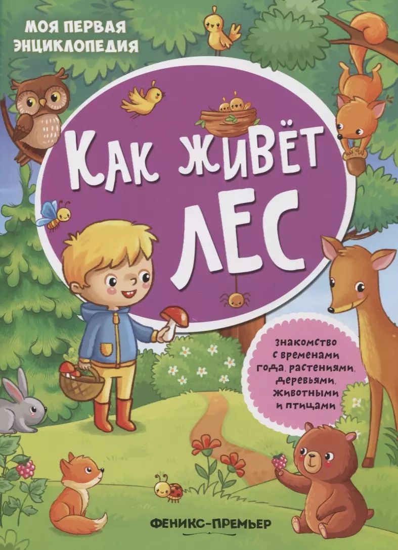 Обложка книги "Как живет лес: книжка с наклейками"