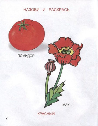 Фотография книги "Какие цвета я знаю"