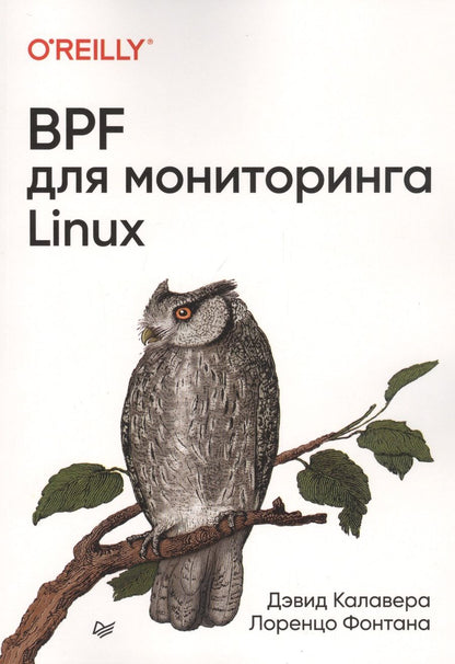 Обложка книги "Калавера, Фонтана: BPF для мониторинга Linux"