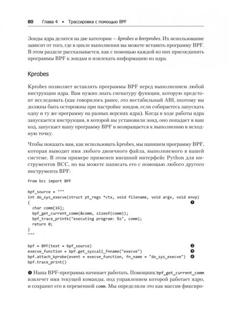Фотография книги "Калавера, Фонтана: BPF для мониторинга Linux"