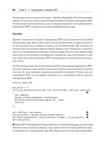 Фотография книги "Калавера, Фонтана: BPF для мониторинга Linux"