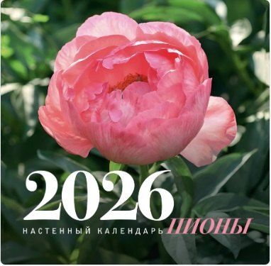 Обложка книги "Календарь 2026г. 300*300 Пионы. Настенный календарь, на скрепке"