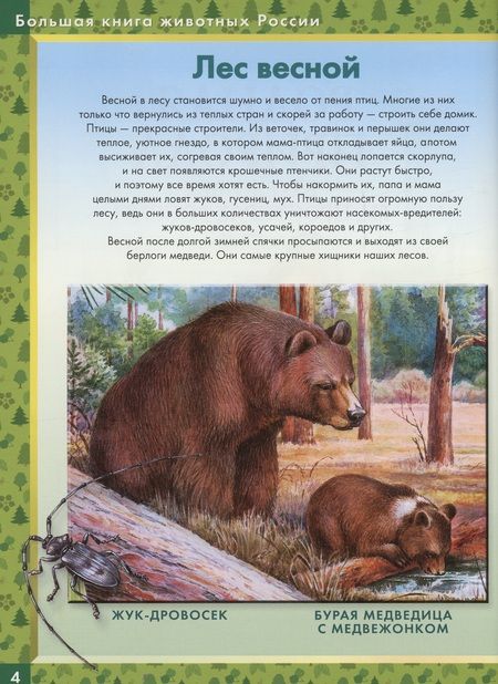 Фотография книги "Калганов: Родная природа. Кто живёт на просторах России"