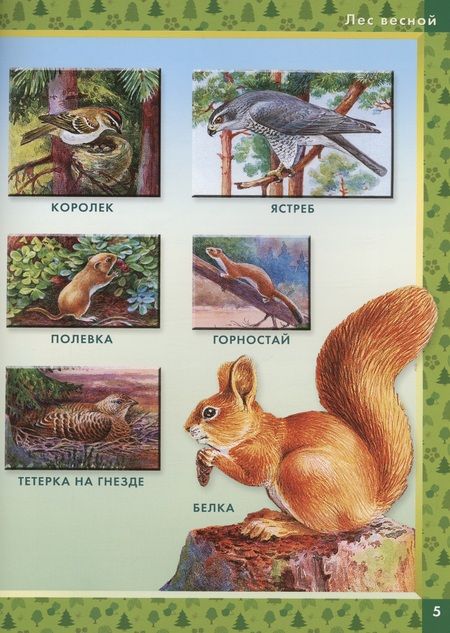 Фотография книги "Калганов: Родная природа. Кто живёт на просторах России"