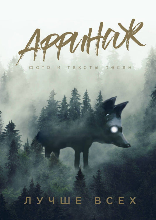 Обложка книги "Калинин: Аффинаж. Фото и тексты песен. Лучше всех"