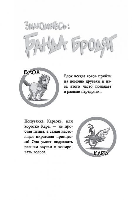 Фотография книги "Калли Штронк: Банда бродяг. Лапа лапу моет"