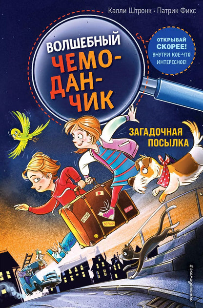 Обложка книги "Калли Штронк: Загадочная посылка"