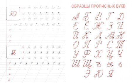 Фотография книги "Каллиграфическое написание строчных и прописных букв. Пропись"