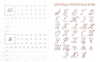 Фотография книги "Каллиграфическое написание строчных и прописных букв. Пропись"