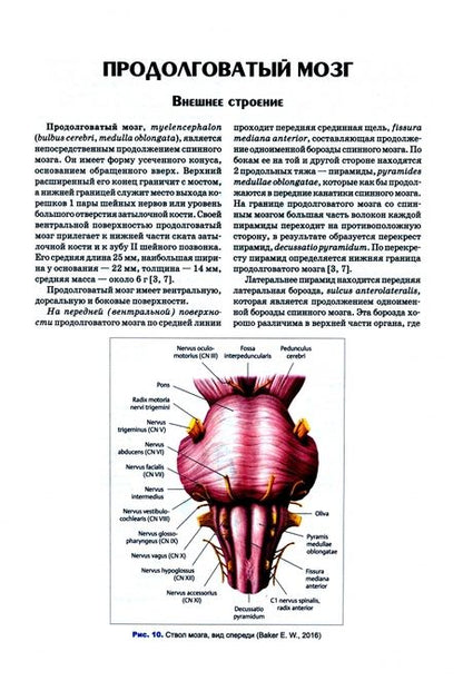 Фотография книги "Калмин, Калмина: Анатомия нервной системы. Учебное пособие для СПО"