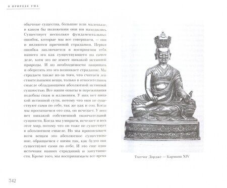 Фотография книги "Калу Ринпоче: Многогранный буддизм. Эмоции, смерть, перерождение, постижение"