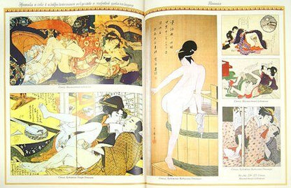 Фотография книги "Камасутра"