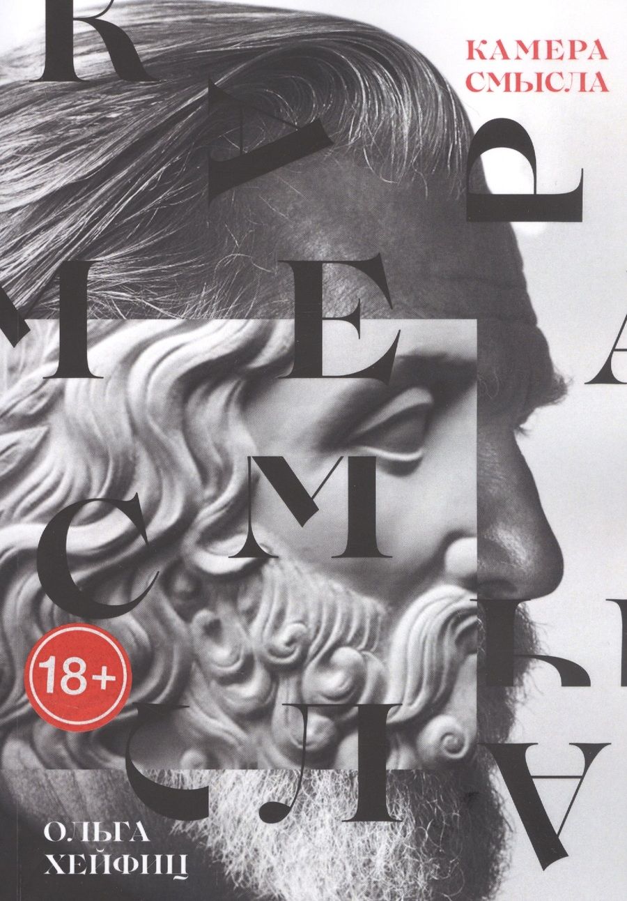 Обложка книги "Камера смысла"