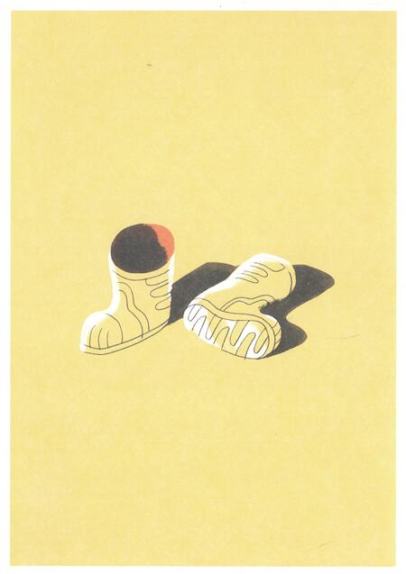 Фотография книги "Камфьорд: Накривик к дому"