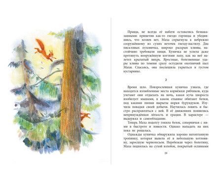 Фотография книги "Камиль Зиганшин: Маха, или История жизни кунички"