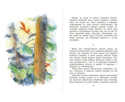 Фотография книги "Камиль Зиганшин: Маха, или История жизни кунички"