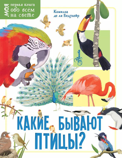 Обложка книги "Камилла Бедуайер: Какие бывают птицы?"