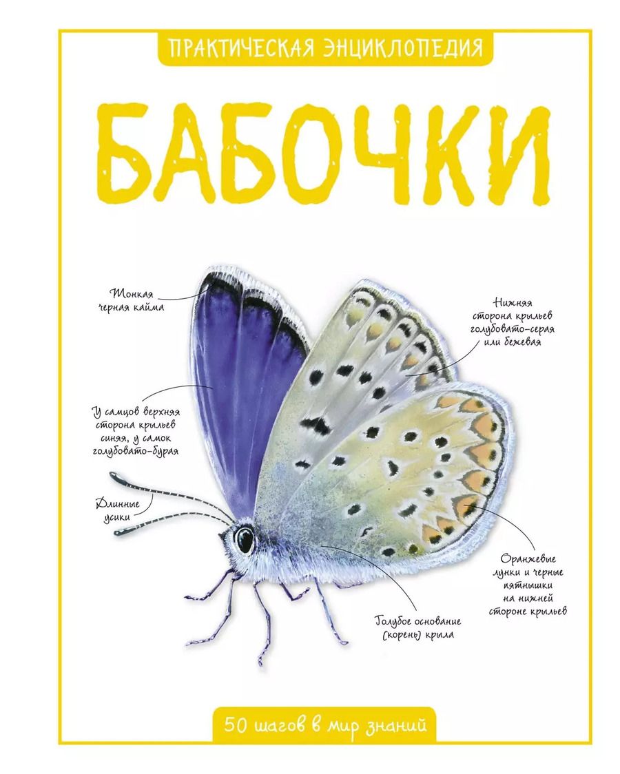 Обложка книги "Камилла де: Бабочки"